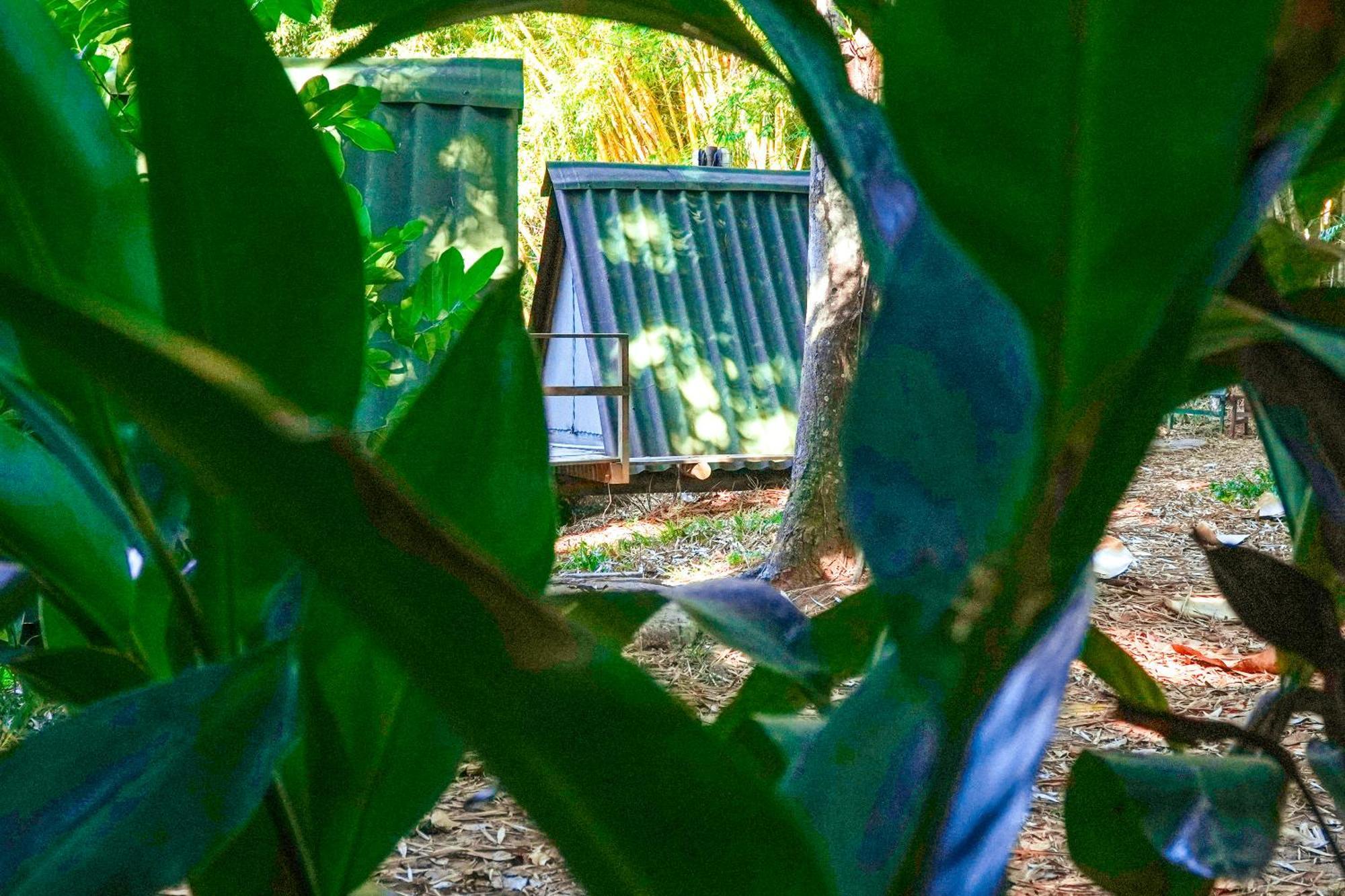 Hut with a garden view,1740451414:JPEG